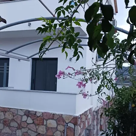 Vana's